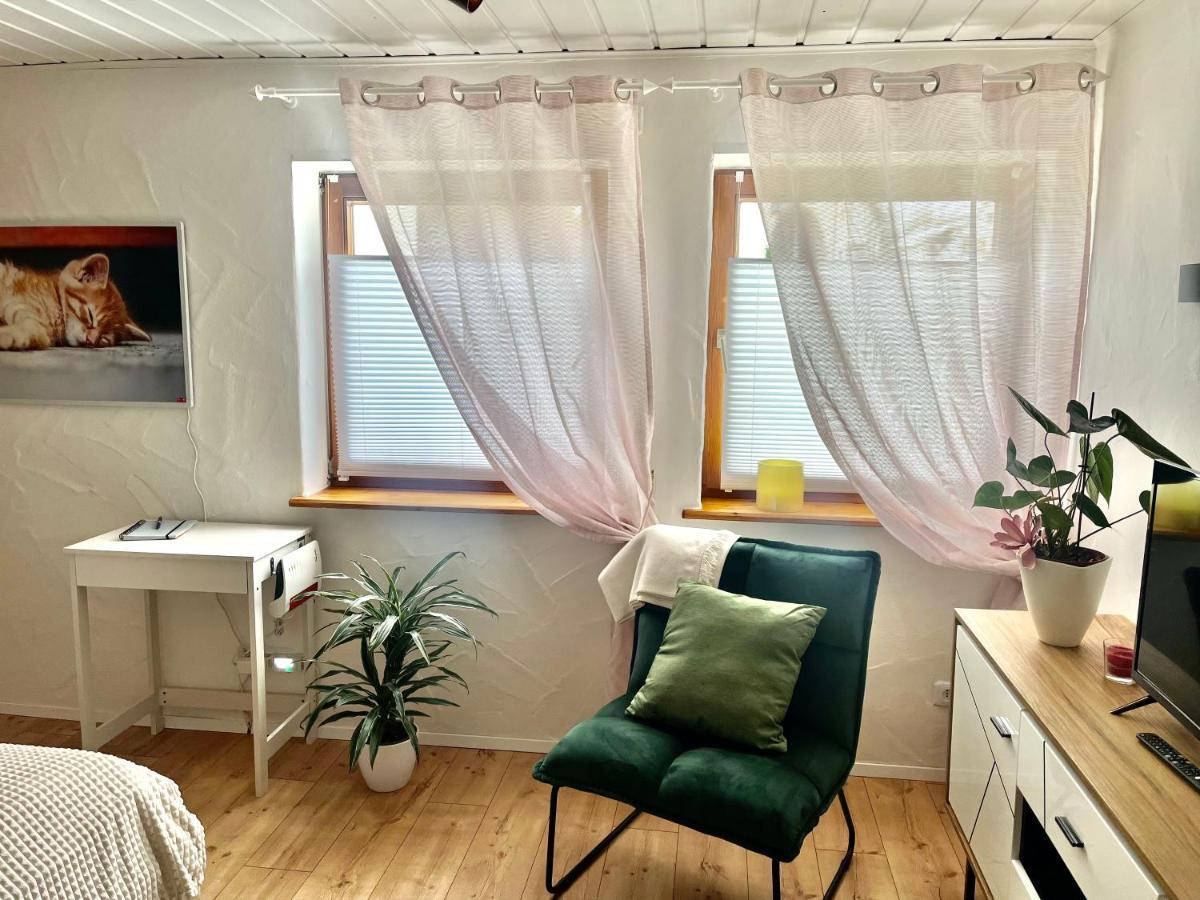 Apartment Balingen City ภายนอก รูปภาพ